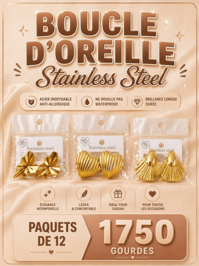 Boucle d’oreilles Stainless