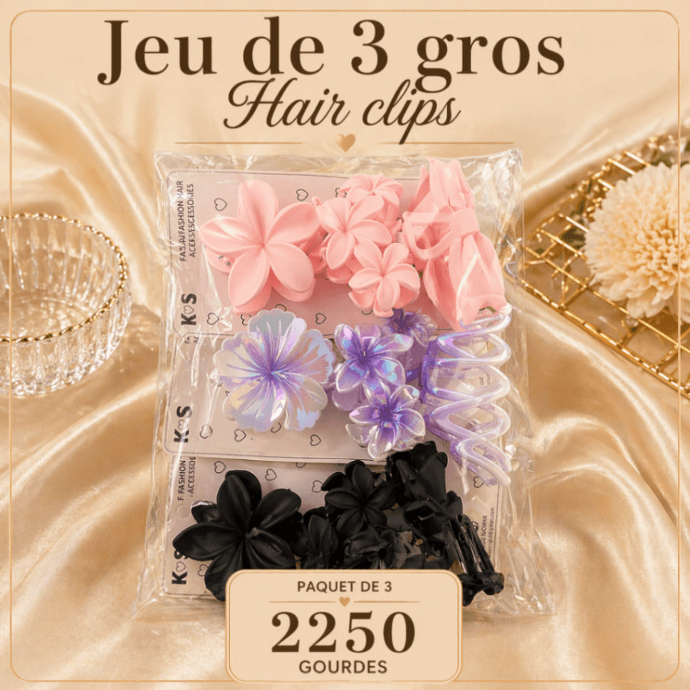 Jeu de 3 gros hair clips