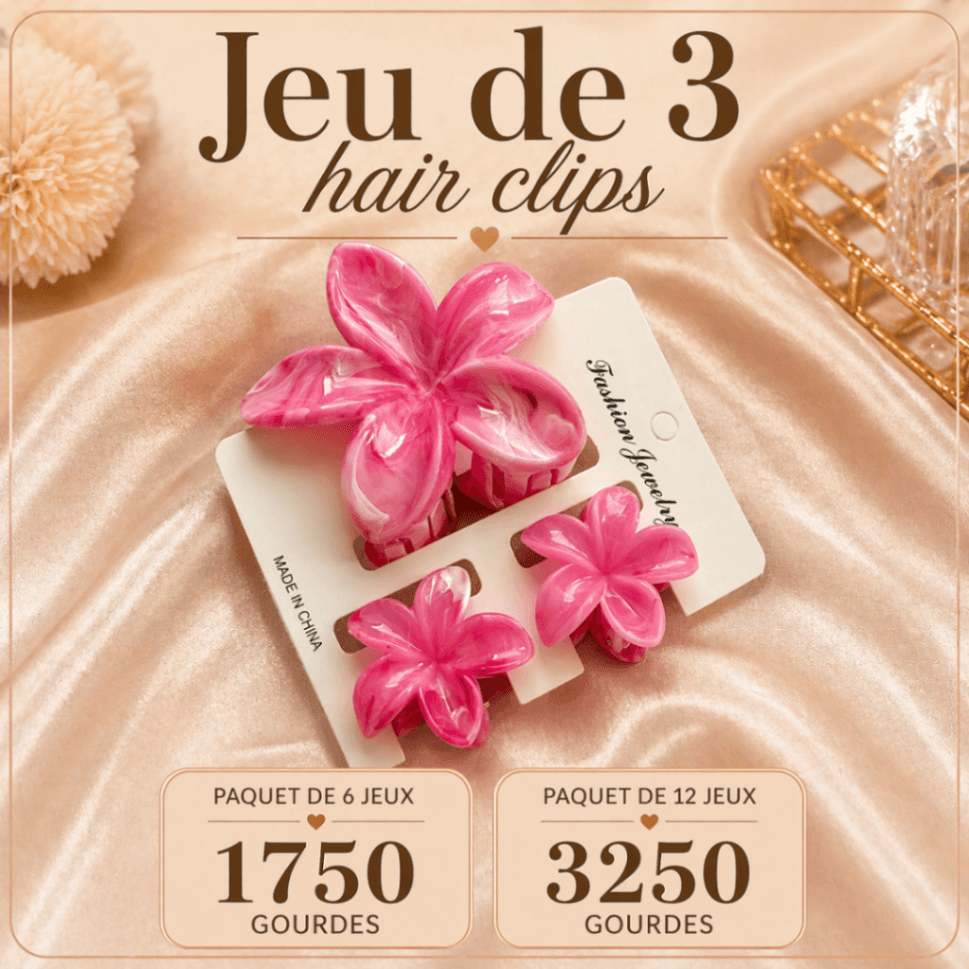 Jeu de 3 hair clips